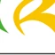 Latin Reps Perú